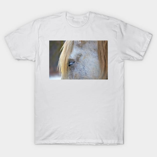 Bangs & Lashes T-Shirt by bgaynor